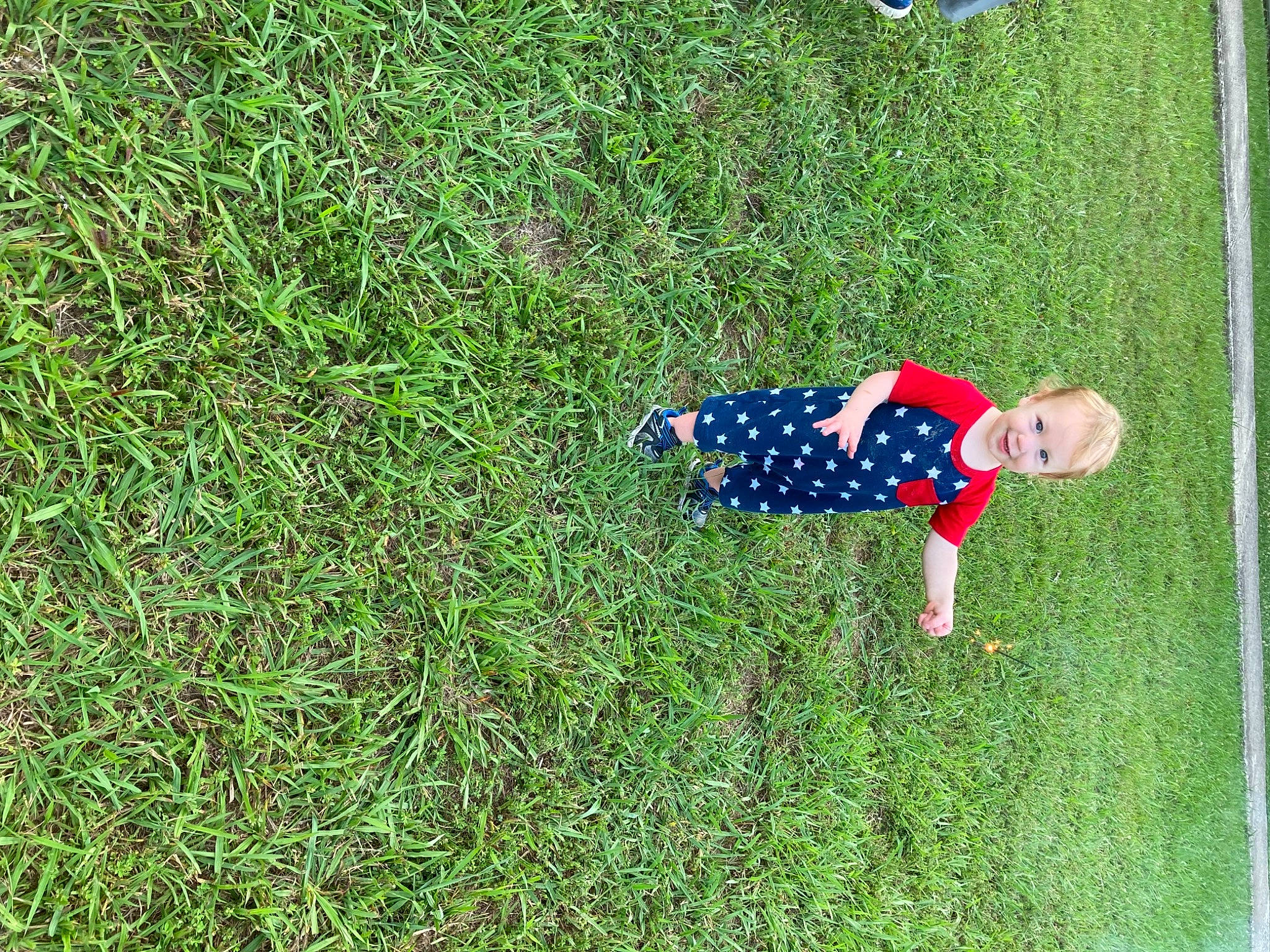 Tidus is registered to the contest to win money with this photo: baby_toddler_clothing, child, electric_blue, flooring, fun, grass, grass_family, grassland, groundcover, happy, joy, lawn, pattern, people_in_nature, person, plant, play, prairie, rectangle, smile