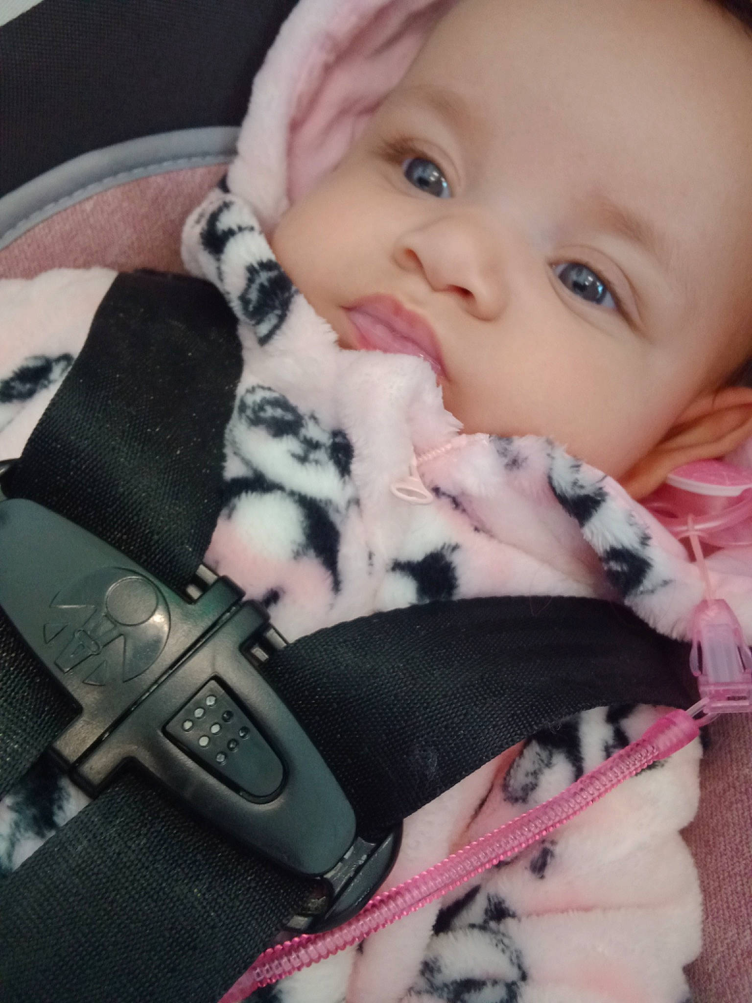 Italy joined the competition — help win amazing prizes! baby, baby_carriage, baby_in_car_seat, baby_products, baby_safety, baby_sleeping, baby_toddler_clothing, car_seat, cheek, child, comfort, eyelash, fashion_accessory, finger, iris, lip, nail, person, pink, skin