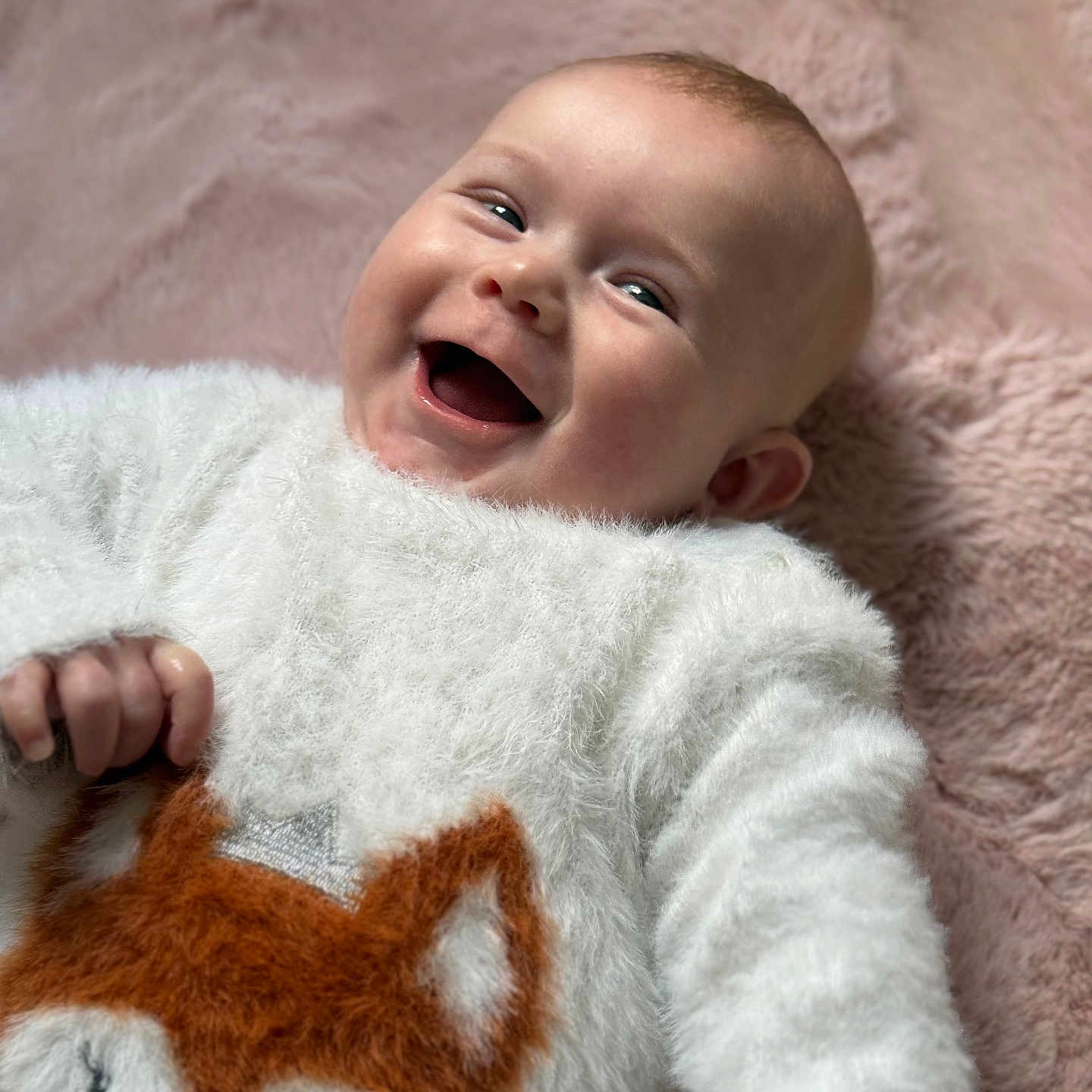 Diane a rejoint le concours — aidez-le/la à gagner de superbes lots ! baby, babylaughing, face, happy, head, laughing, newborn, person, photography, portrait, smile