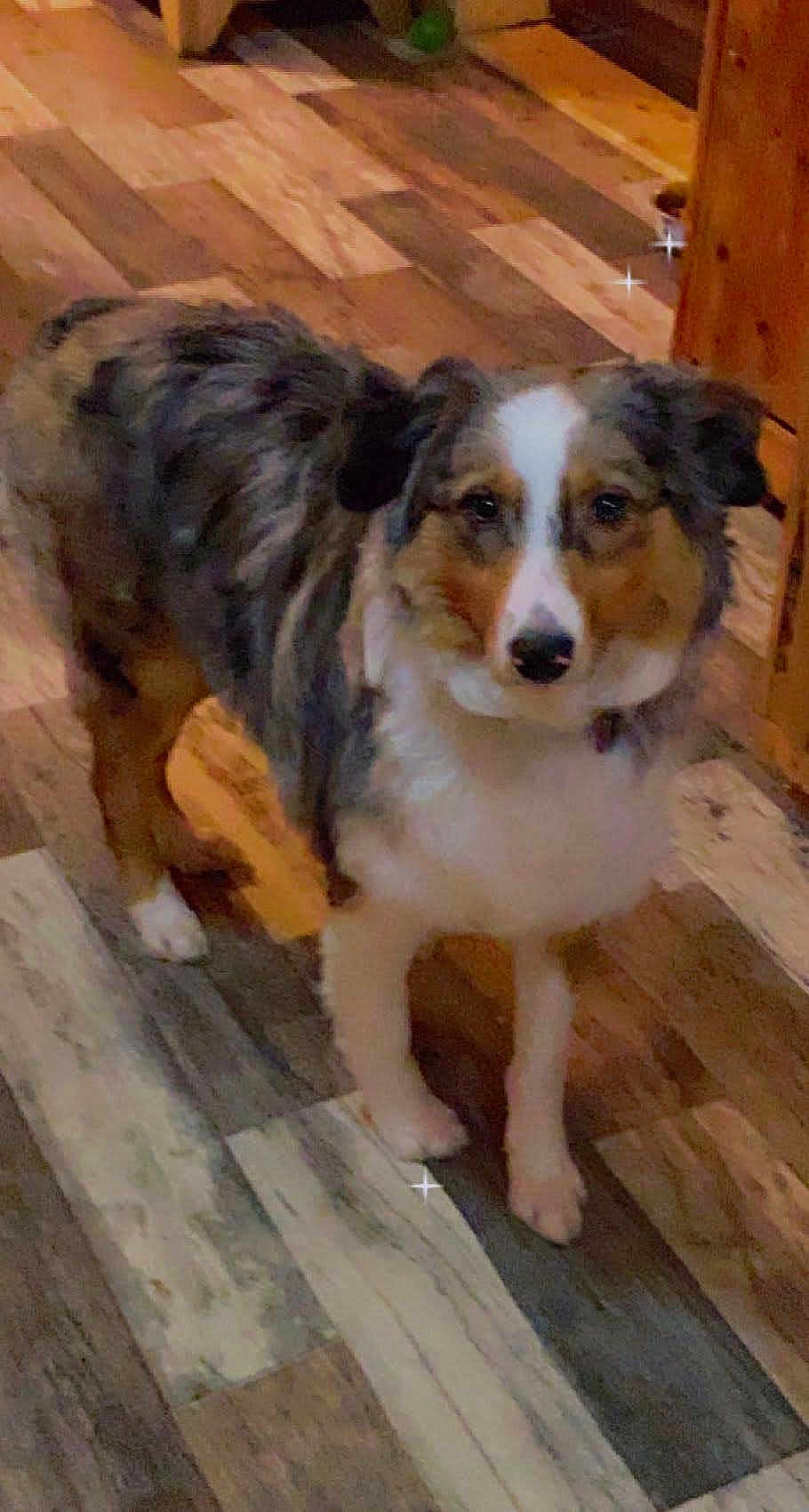 Sam