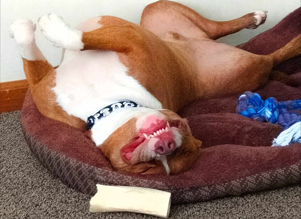 Winston