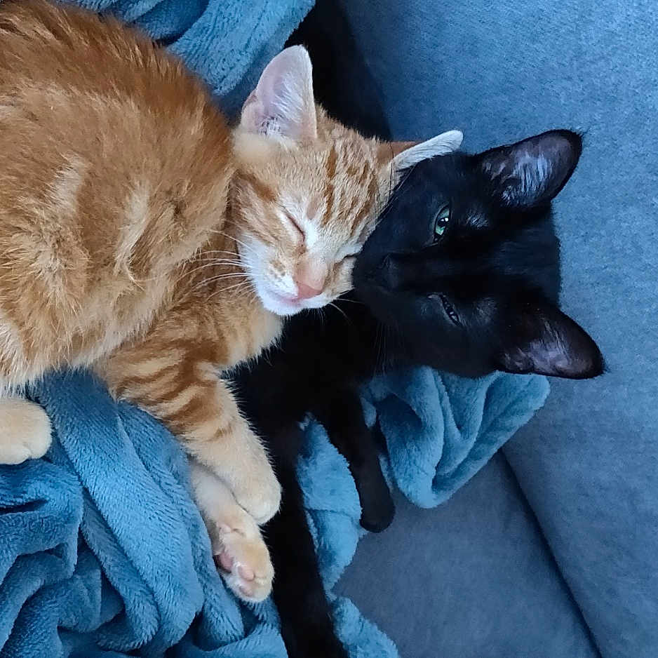 Riley Et Rooky