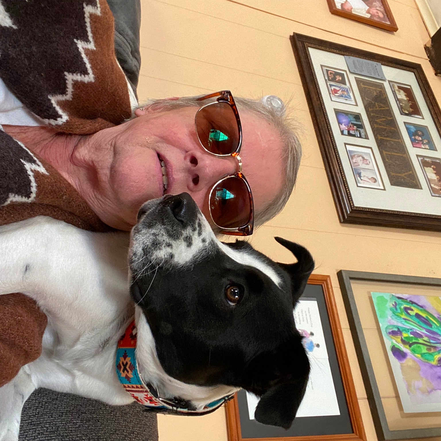 Lacey is registered to the contest to win money with this photo: art, carnivore, collar, companion_dog, dog, dog_breed, dog_collar, eyewear, fashion_accessory, fawn, fur, gesture, happy, paint, picture_frame, snout, sunglasses, vision_care, visual_arts, working_animal