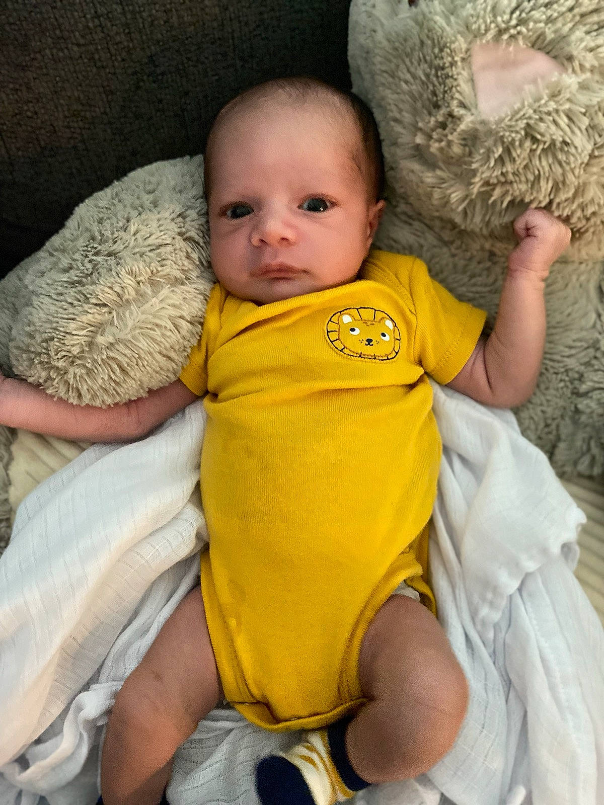 Keylan is registered to the contest to win money with this photo: baby, baby_toddler_clothing, cheek, comfort, eye, face, finger, hand, happy, head, human_body, iris, mammal, nose, person, product, skin, smile, textile, toddler