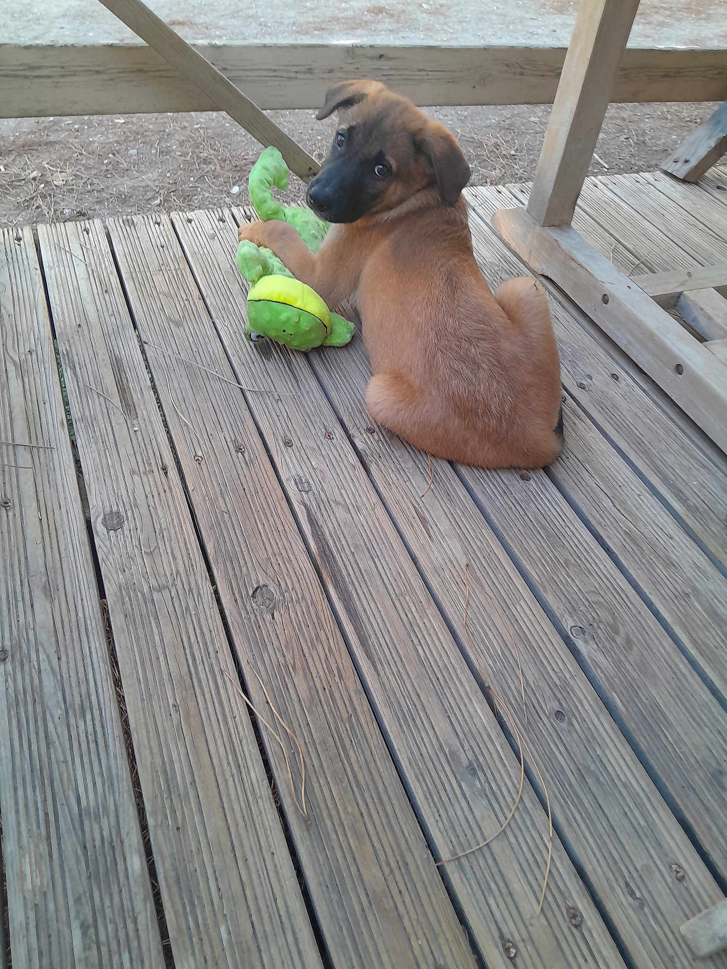 Athena