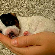 Popette a rejoint le concours — aidez-le/la à gagner de superbes lots !