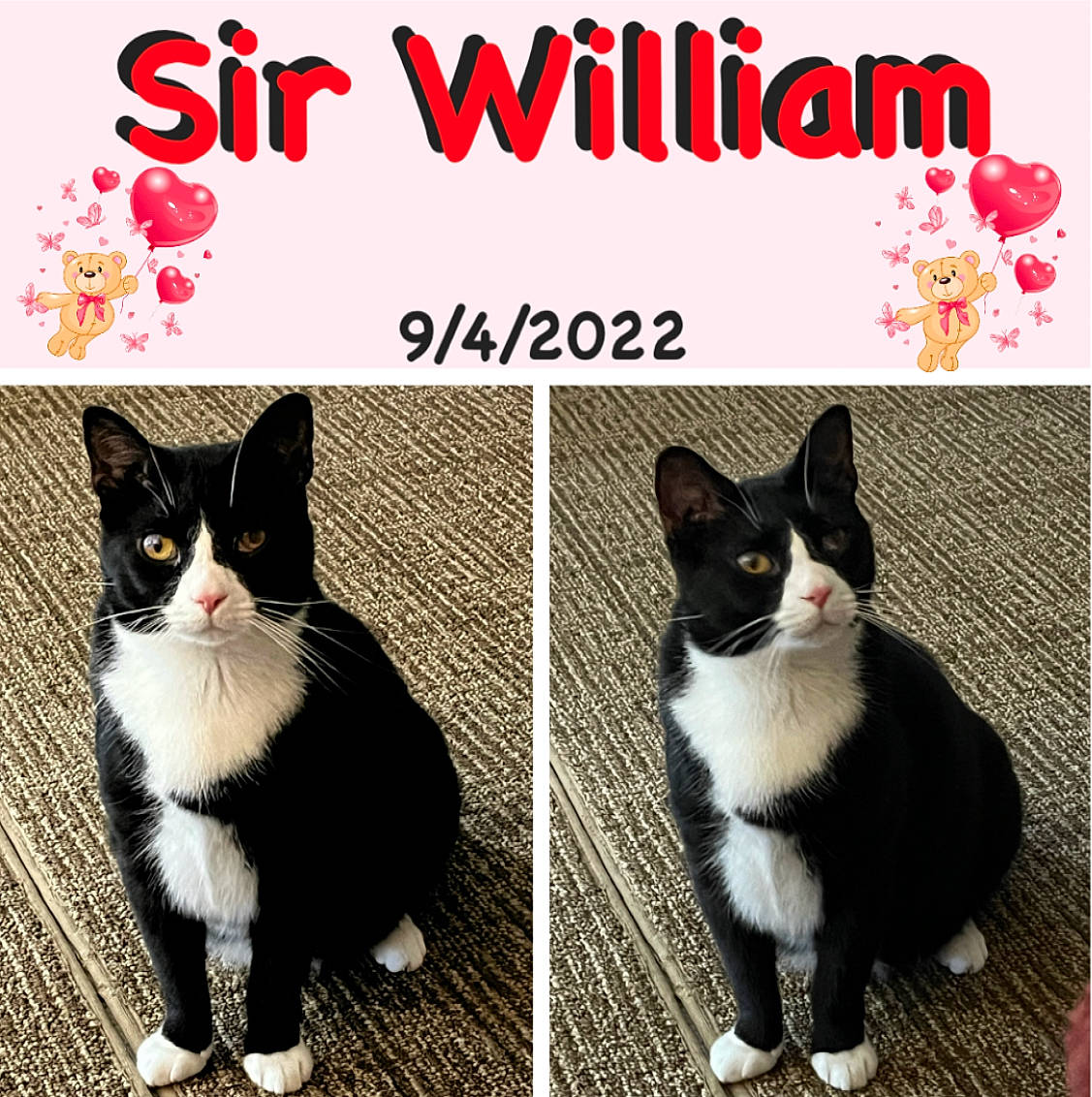 Sir William