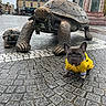 Napoléon a rejoint le concours — aidez-le/la à gagner de superbes lots ! french_bulldog, dog, yellow_jacket, bronze_statue, tortoise_statue, cobblestone, street, urban, outdoor, pavement, sculpture, animal, pet, city, architecture, building, sidewalk, statue, public_art, daytime