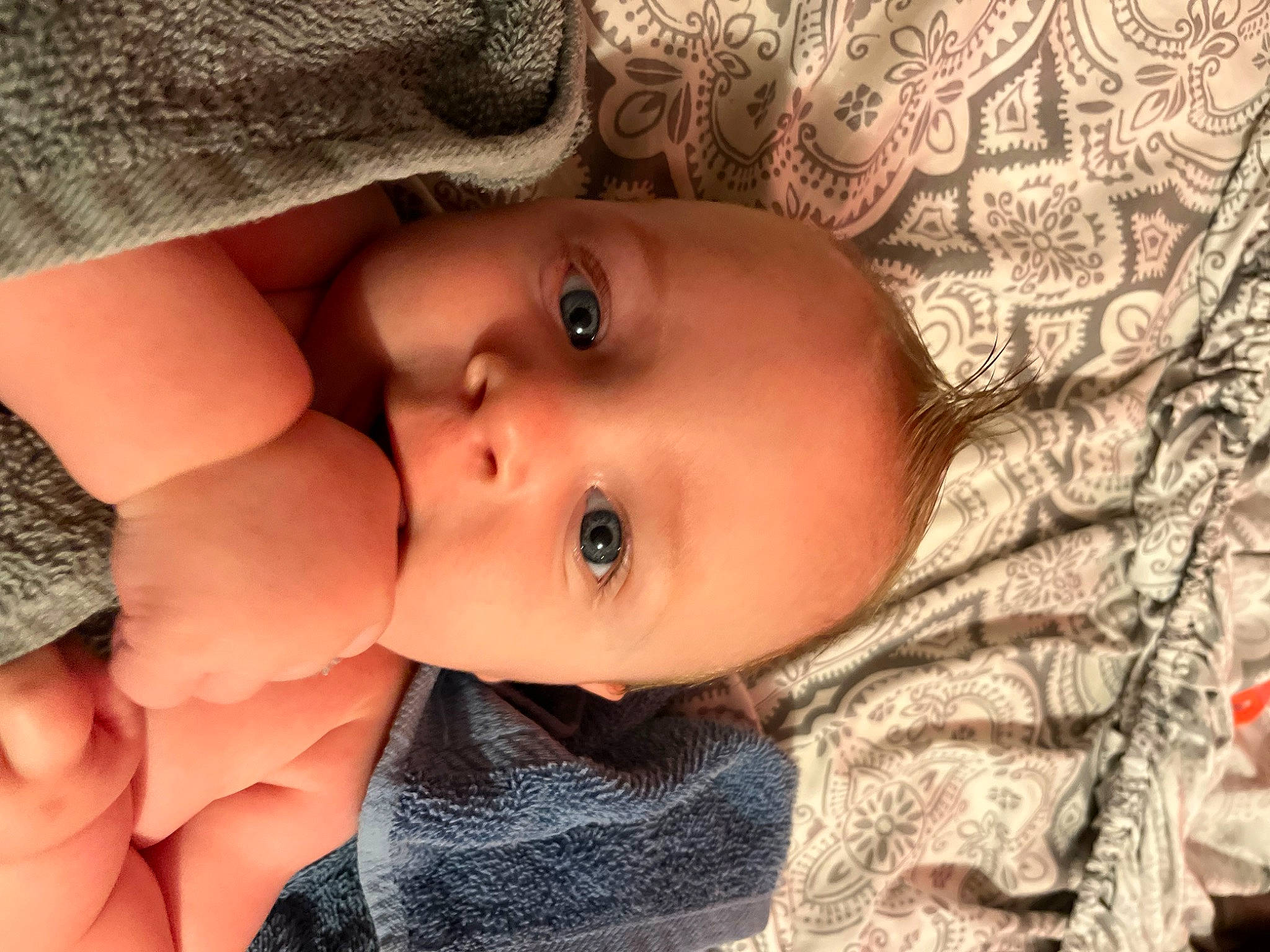 Bentley joined the competition — help win amazing prizes! baby, baby_toddler_clothing, cheek, close_up, eye, eyebrow, eyelash, flash_photography, happy, hat, iris, lip, mouth, nose, person, plant, skin, smile, toddler, tree