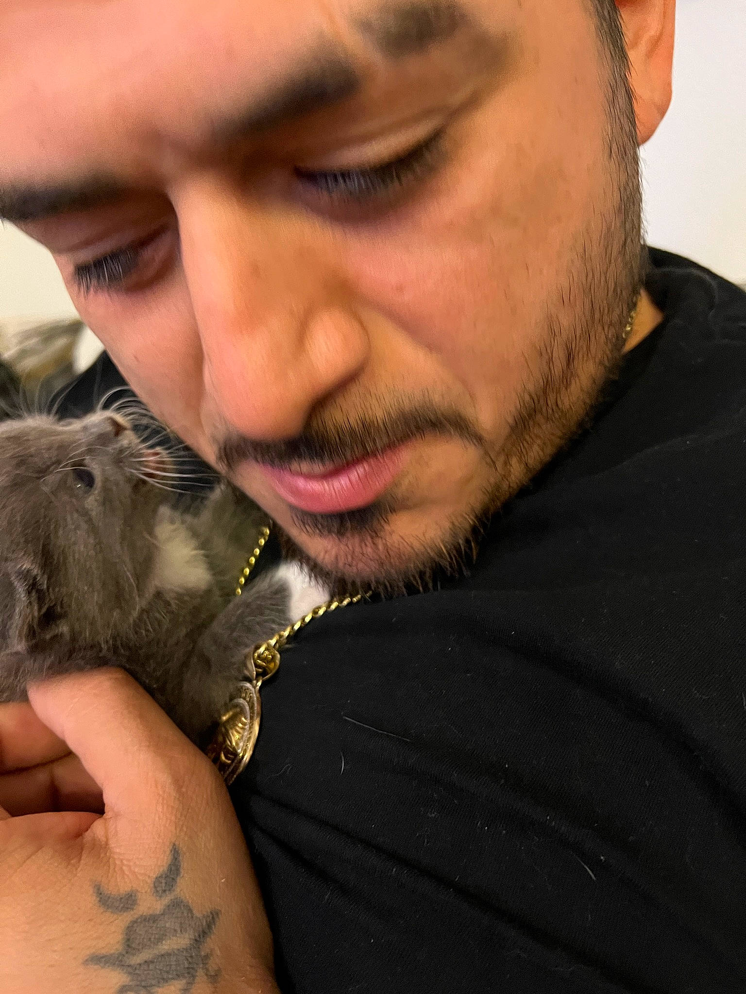 Charlie joined the competition — help win amazing prizes! bat, beard, ear, eyelash, facial_hair, fawn, felidae, fur, jaw, moustache, mouth, neck, nose, skin, small_to_medium_sized_cats, temporary_tattoo, terrestrial_animal, whiskers, wildlife_biologist, wrinkle