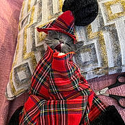 Charlie is registered to the contest to win money with this photo: cap, collar, costume_design, doll, dress, event, fashion_design, formal_wear, hat, one_piece_garment, outerwear, pattern, plaid, red, sleeve, tartan, textile, toy, waist, wool