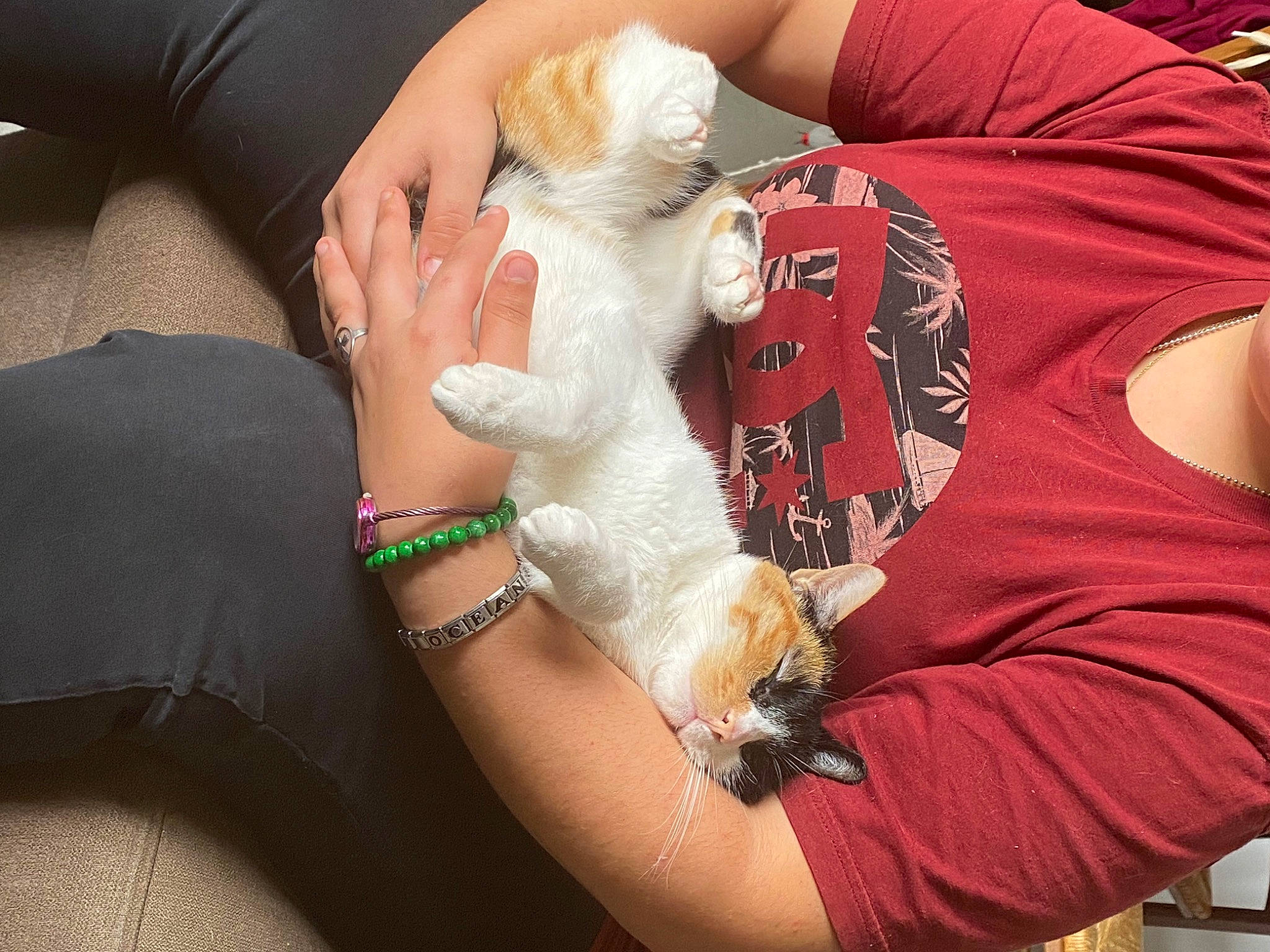 Cookie a rejoint le concours — aidez-le/la à gagner de superbes lots ! abdomen, bangle, bracelet, chest, companion_dog, elbow, fashion_accessory, fawn, felidae, finger, fur, gesture, hand, human_leg, jewellery, joint, nail, tattoo_artist, temporary_tattoo, wrist