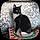 Tux
