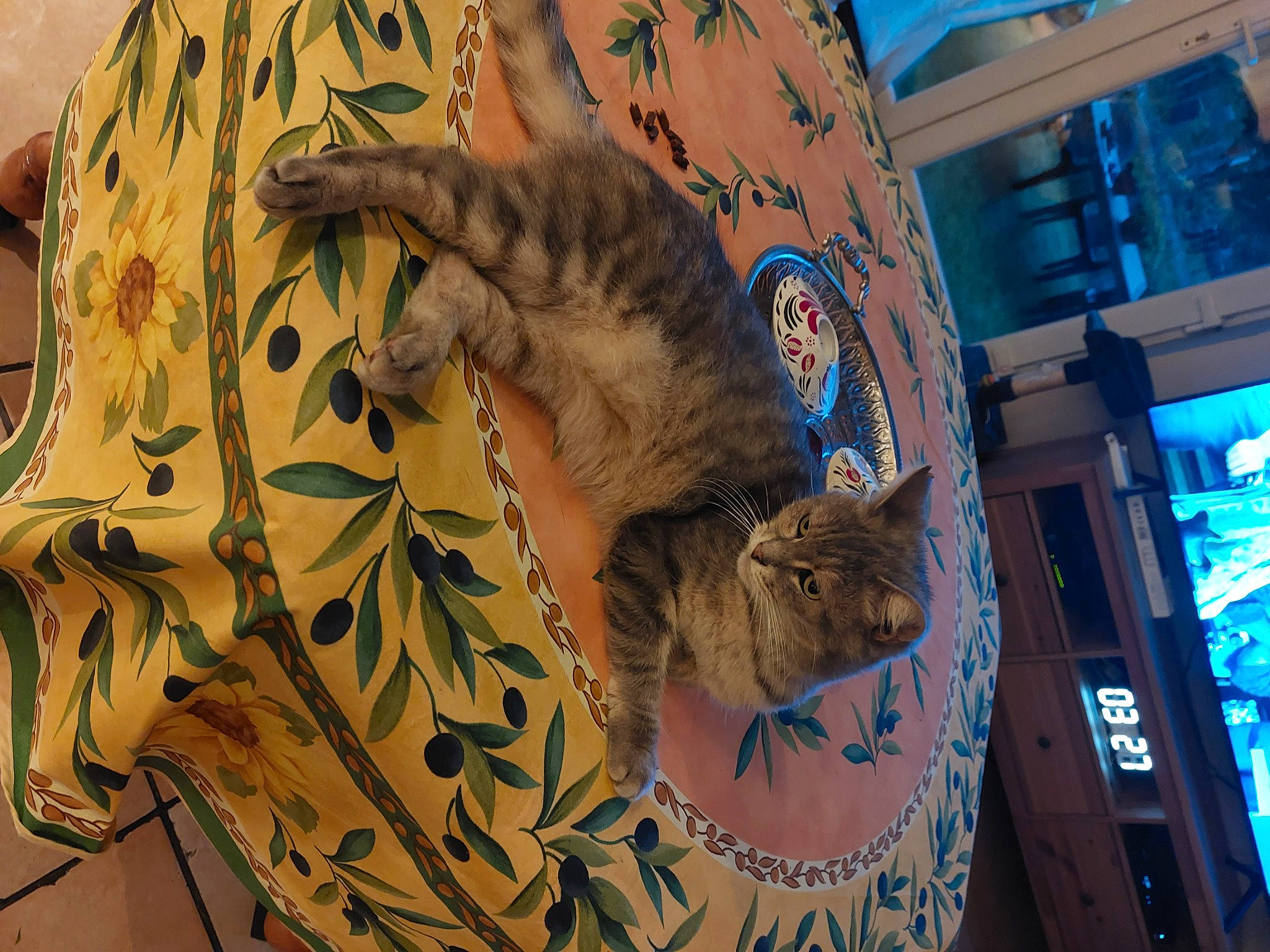 Mistigri a rejoint le concours — aidez-le/la à gagner de superbes lots ! art, carnivore, cat, domestic_short_haired_cat, facade, felidae, fish, fur, mythical_creature, organism, pattern, small_to_medium_sized_cats, tail, visual_arts, whiskers, world