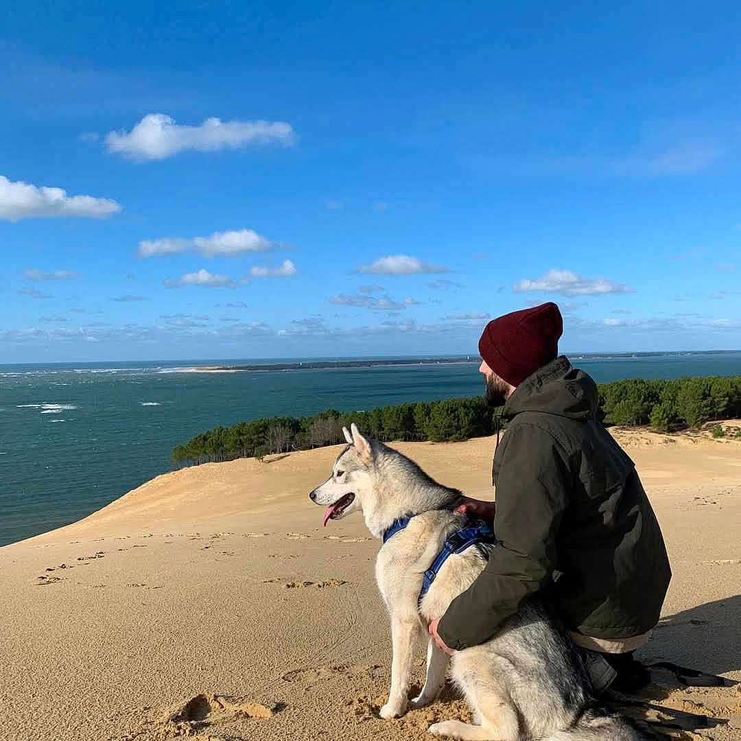Rayka participe au concours pour gagner de l'argent avec cette photo : adult, animal, beach, canine, coast, dog, fun, horizon, male, man, nature, outdoors, person, pet, sea, shoreline, sitting, sky, vacation, water