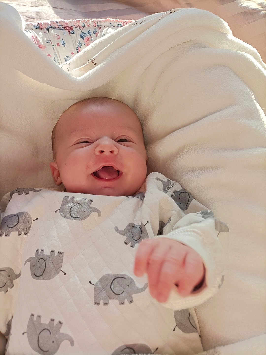 Alyson participe au concours pour gagner de l'argent avec cette photo : baby, newborn, infant, smiling, laughing, onesie, elephant_pattern, blanket, hand, mouth_open, face, eyes, cozy, bedding, indoor, portrait, skin, cute, happy, sunlight