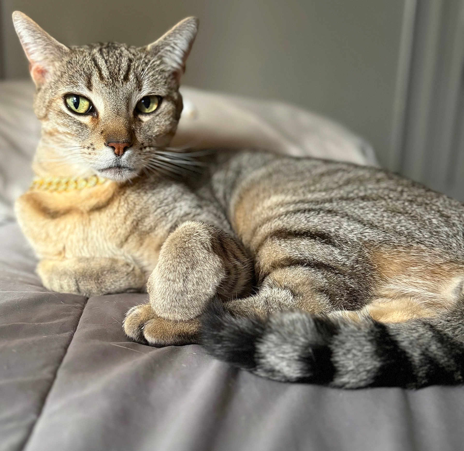 Leo