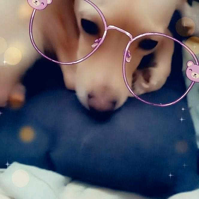Naya