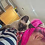 animal, cabinet, casual, cat, curious, domestic, feline, hair, indoor, kitchen, light, person, pet, pink_hair, profile, scrunchie, shoulder, siamese_cat, striped_clothing, window