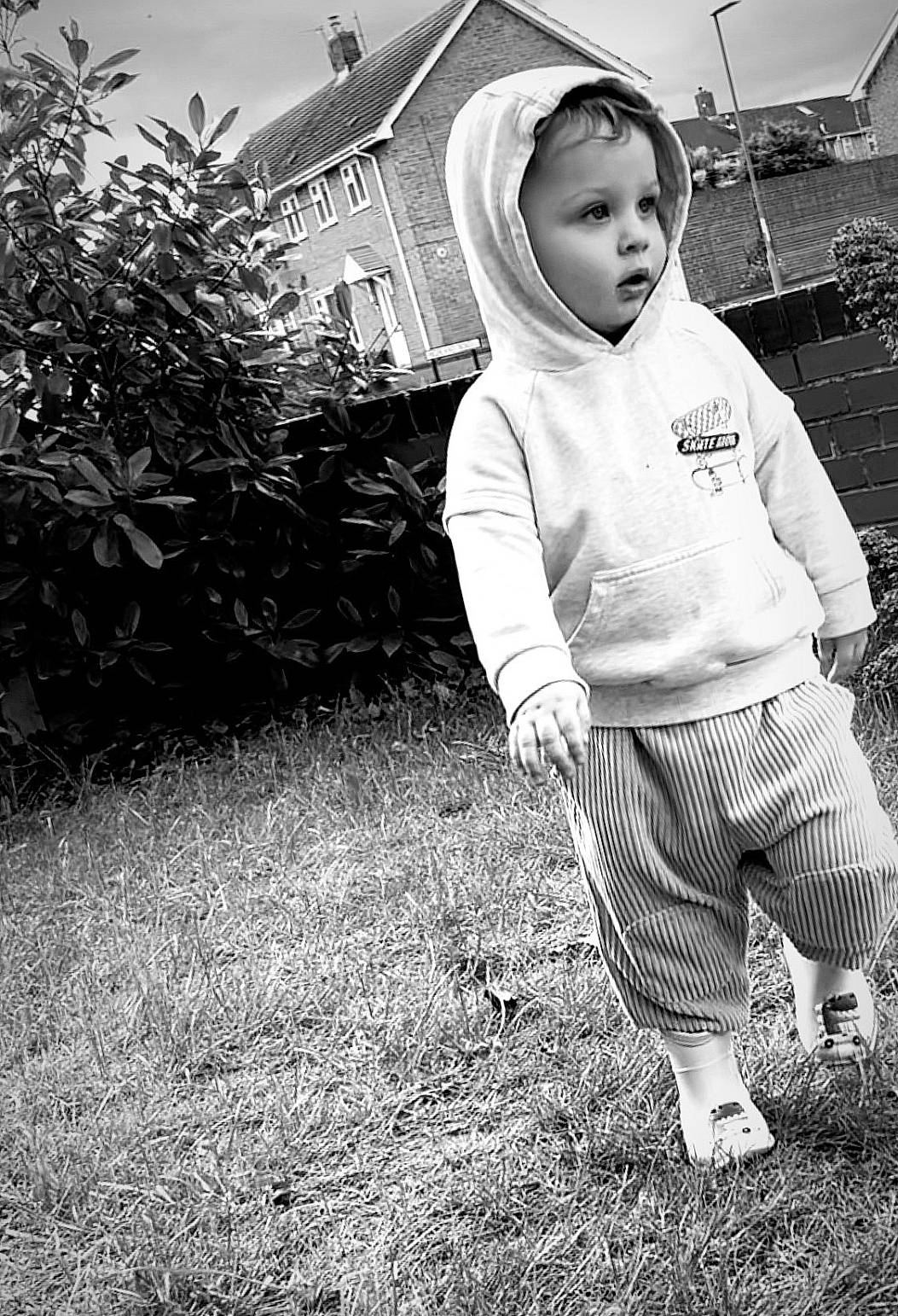 Finn joined the competition — help win amazing prizes! boy, child, clothing, face, footwear, grass, hat, head, hood, hoodie, knitwear, male, person, photography, plant, portrait, shoe, shorts, sweater, sweatshirt