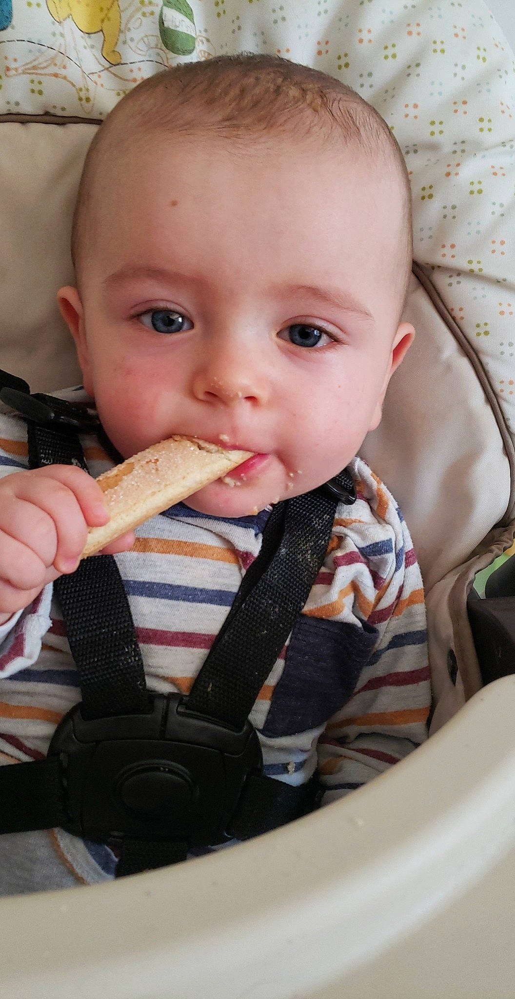 Aaron a rejoint le concours — aidez-le/la à gagner de superbes lots ! baby, baby_toddler_clothing, biting, cheek, child, comfort_food, cuisine, dish, eating, finger, food, food_craving, gesture, lip, mouth, nose, person, product, sweetness, thumb