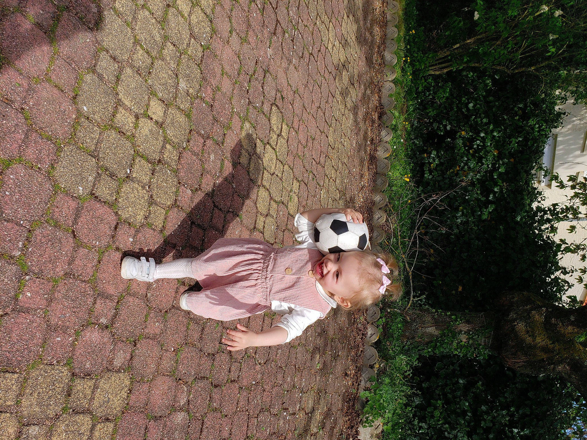 Eloïse participe au concours pour gagner de l'argent avec cette photo : fawn, flooring, fun, grass, joy, leisure, pattern, people_in_nature, person, plant, shadow, soil, toy, tree, trunk, window, wood