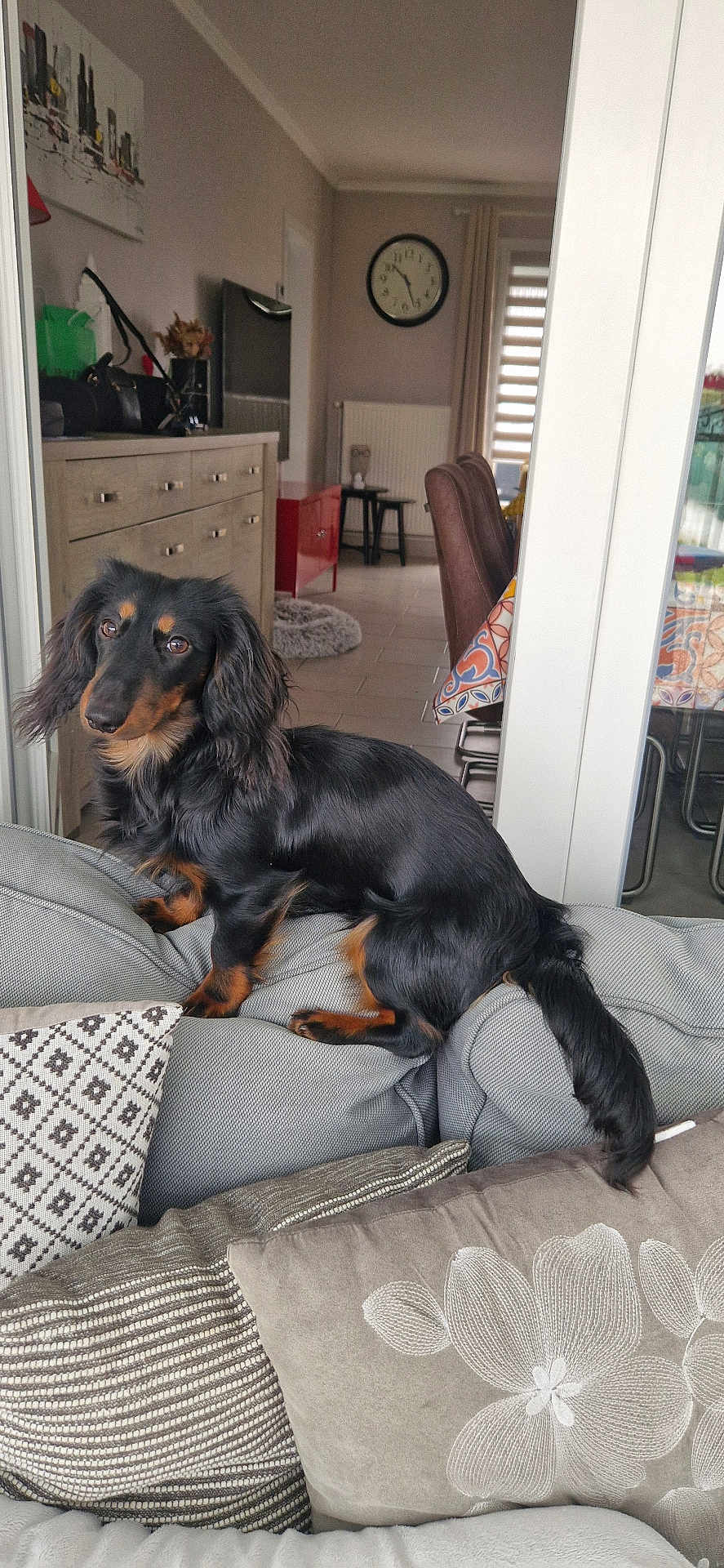 Jako
