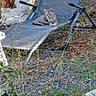 cat, outdoor, garden, chair, plant, gravel, statue, relaxing, gray_tabby, mesh_chair, sunlight, nature, decor, flower_pot, shrubbery, animal, pet, resting, daylight, background