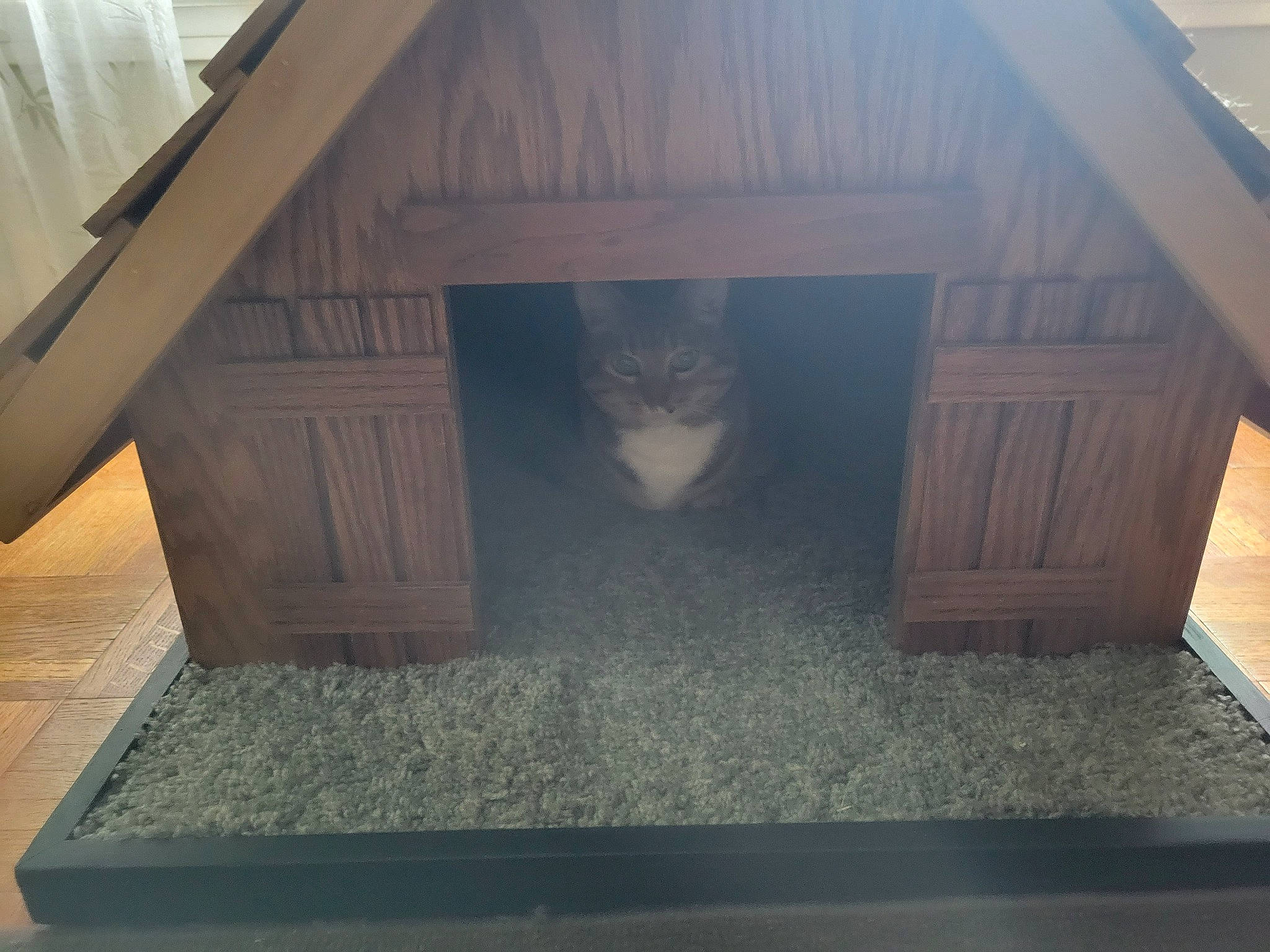 Walker is registered to the contest to win money with this photo: building, carnivore, door, facade, felidae, floor, flooring, gas, hardwood, house, plywood, rectangle, roof, shade, shed, siding, tints_and_shades, window, wood, wood_stain