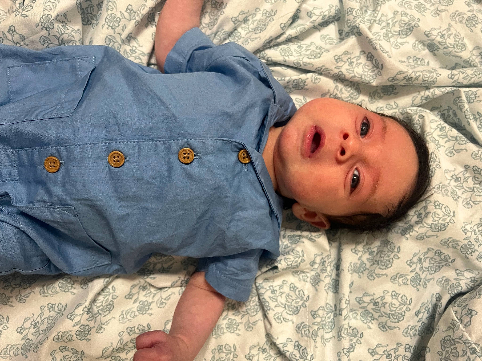 Drew is registered to the contest to win money with this photo: baby, baby_toddler_clothing, cheek, child, comfort, denim, eye, fur, grass, head, human_body, linens, pattern, person, sitting, sleep, sleeve, toddler, tree, wood