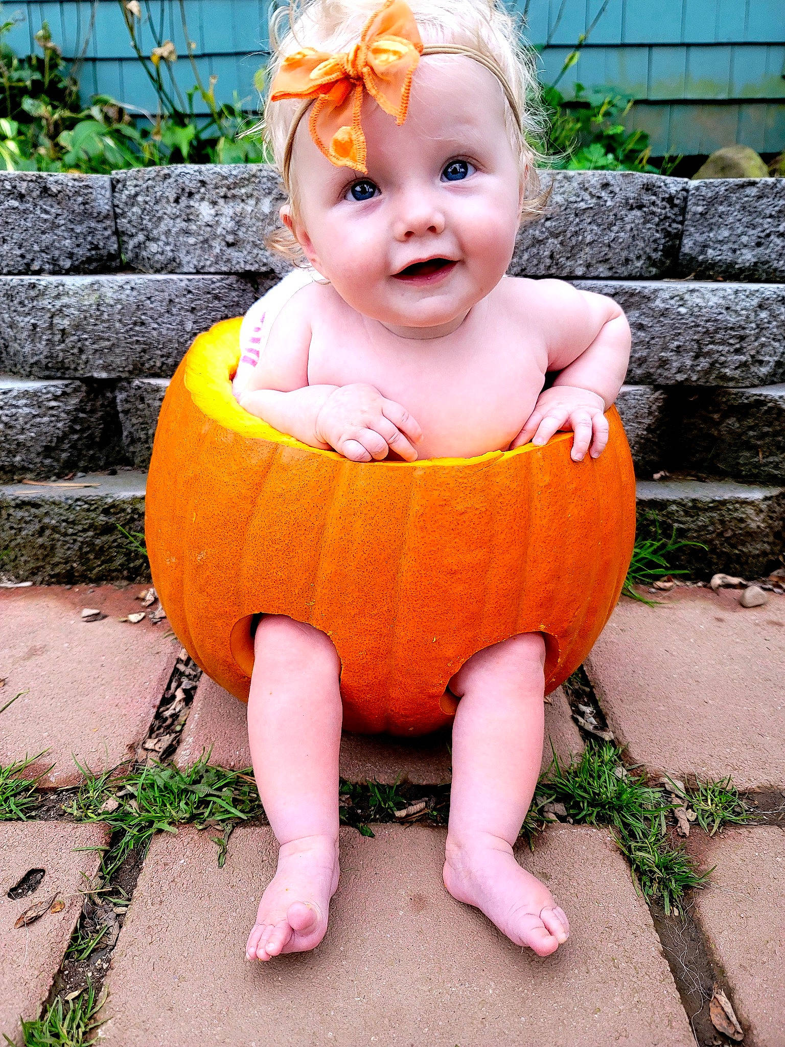 Addaleigh is registered to the contest to win money with this photo: baby, baby_toddler_clothing, child, dress, eye, face, fun, grass, green, happy, head, mouth, orange, person, pink, plant, pumpkin, sitting, smile, toddler