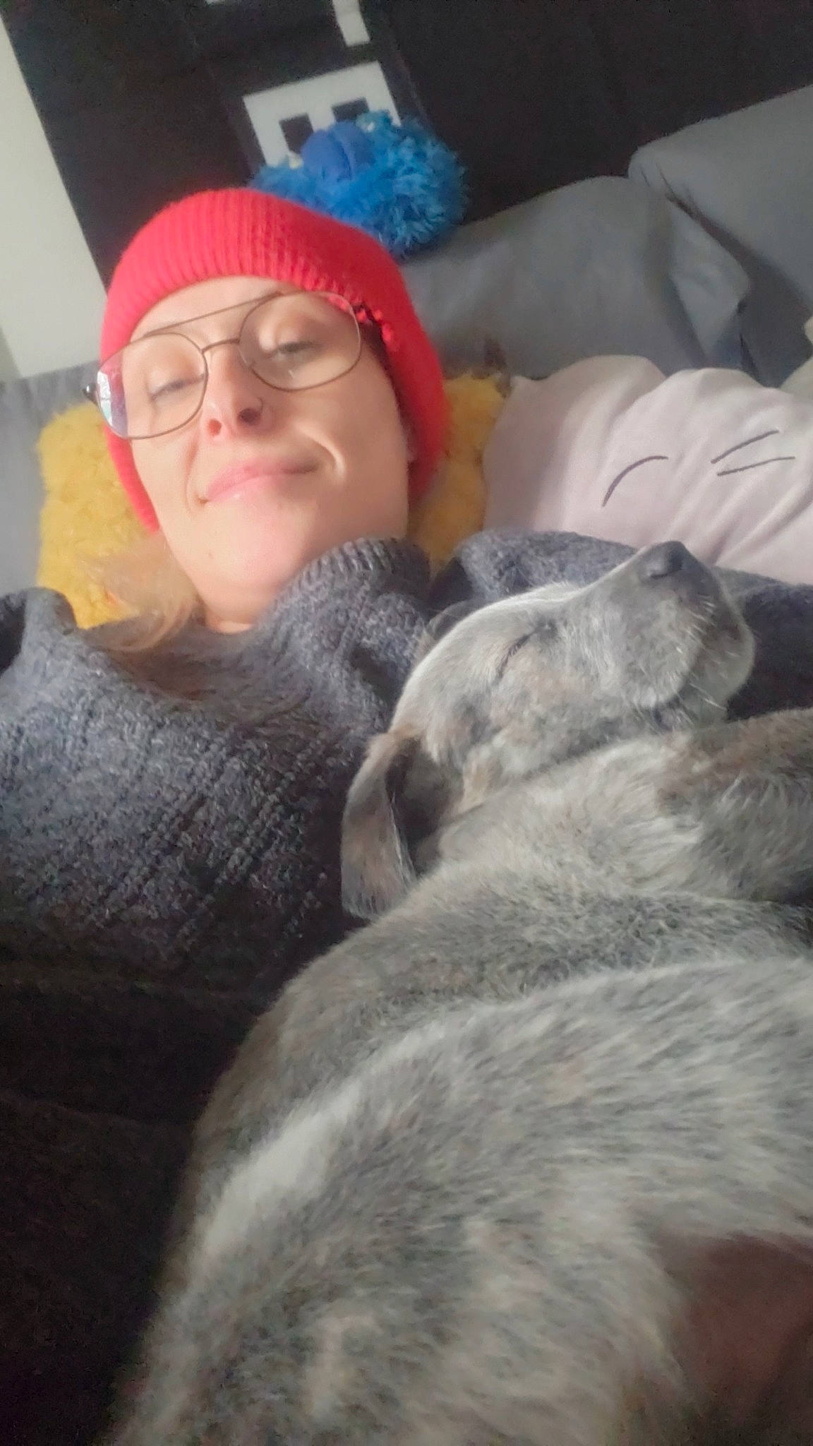 Cosmo joined the competition — help win amazing prizes! beanie, cap, comfort, companion_dog, dog_breed, eyewear, felidae, fur, glasses, grey, knit_cap, linens, nap, selfie, sitting, smile, sunglasses, vision_care, winter, wool