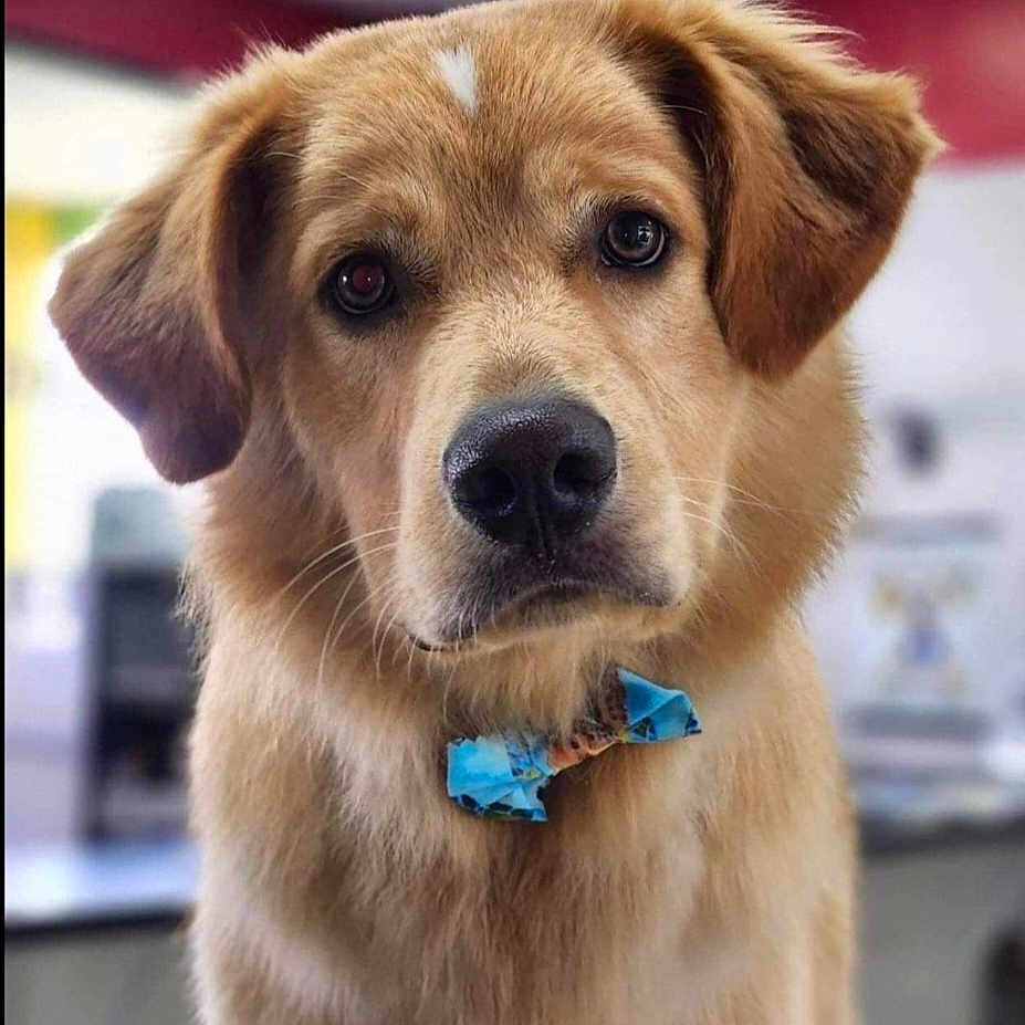 Sam