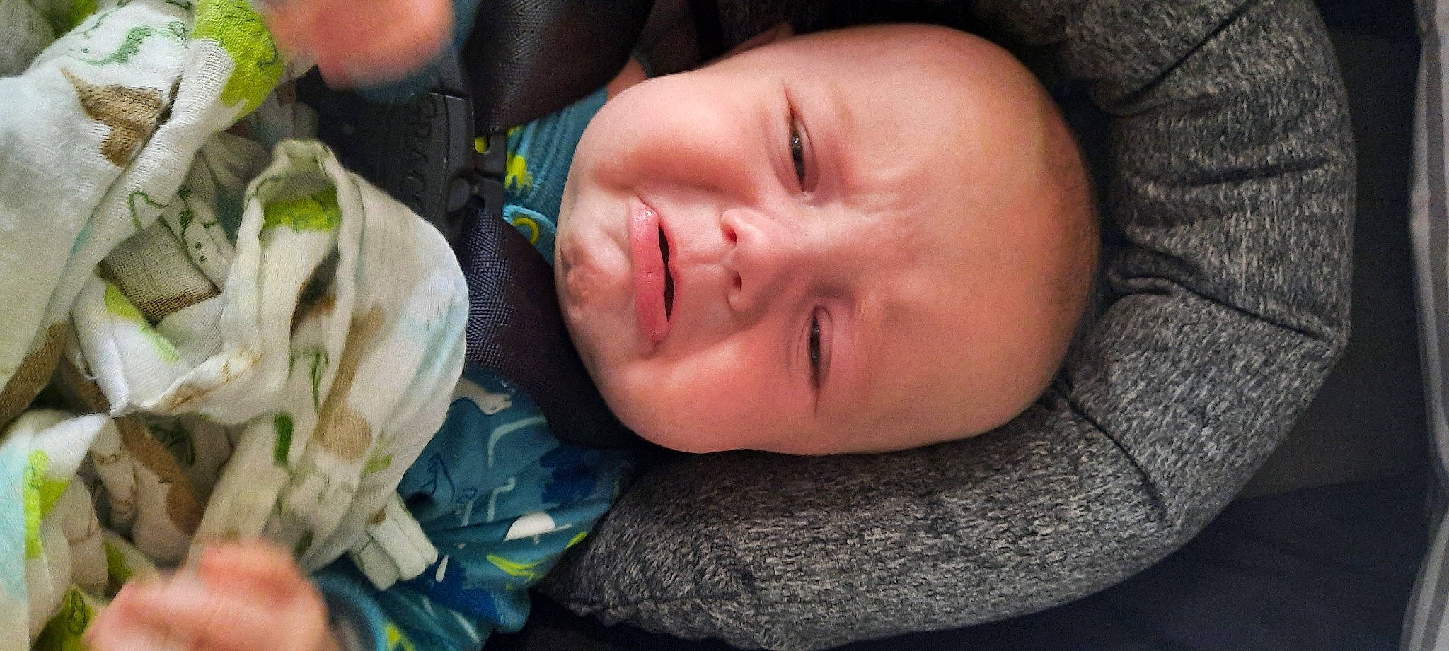 Wyatt is registered to the contest to win money with this photo: baby, cheek, chin, eye, eyebrow, eyelash, finger, happy, human_body, iris, lip, mouth, neck, nose, person, petal, plant, skin, smile, sorrow