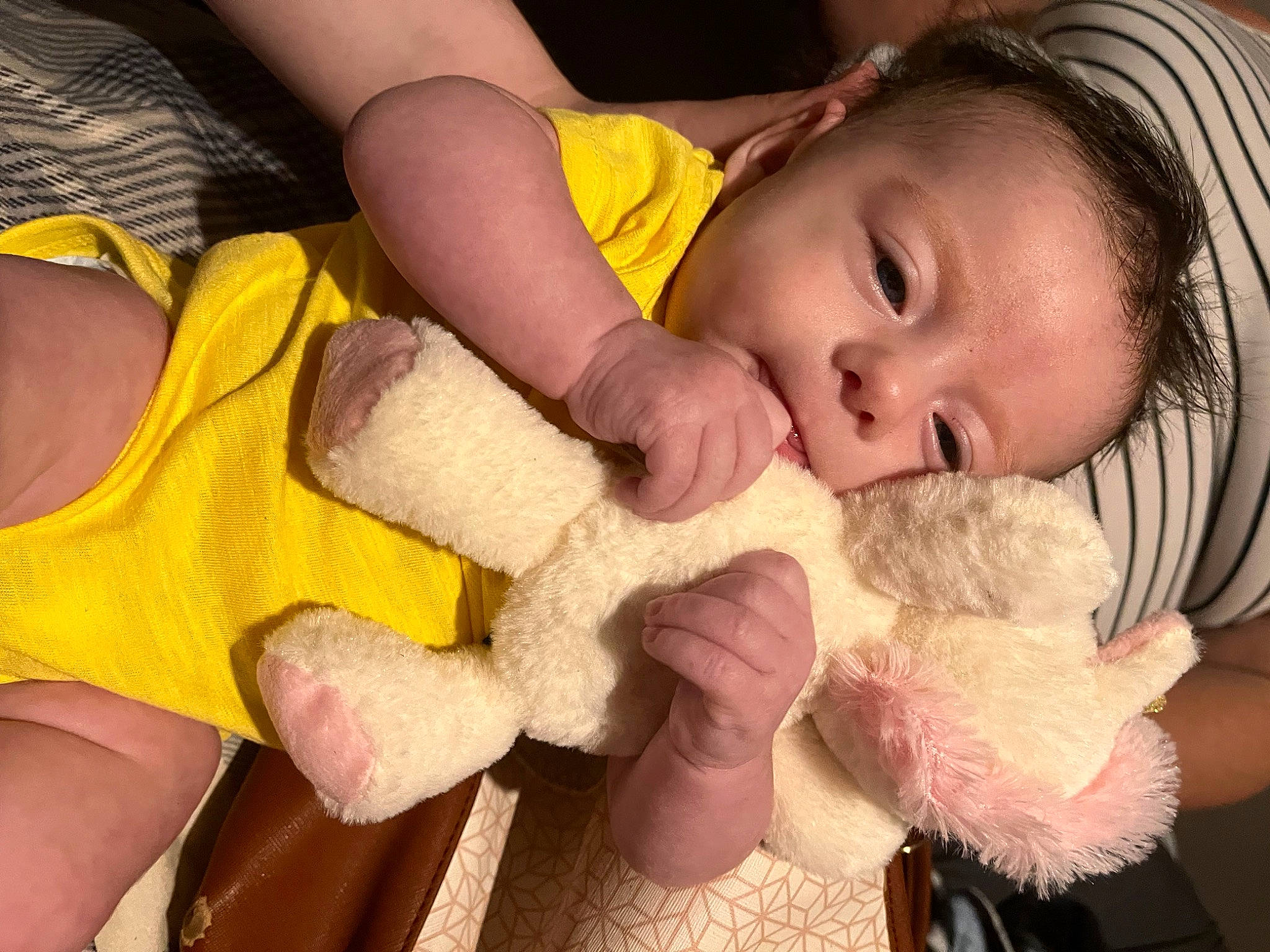 Arizona joined the competition — help win amazing prizes! cheek, comfort, ear, eye, eyelash, finger, gesture, hand, happy, head, iris, mammal, mouth, nail, nose, person, product, skin, toy, vertebrate