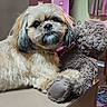 dog, stuffed_toy, table, indoor, fluffy, brown, beige, toy, furniture, soft_toy, carpet, curtain, pet, animal, cute, companion, cozy, portrait, relaxing, domestic