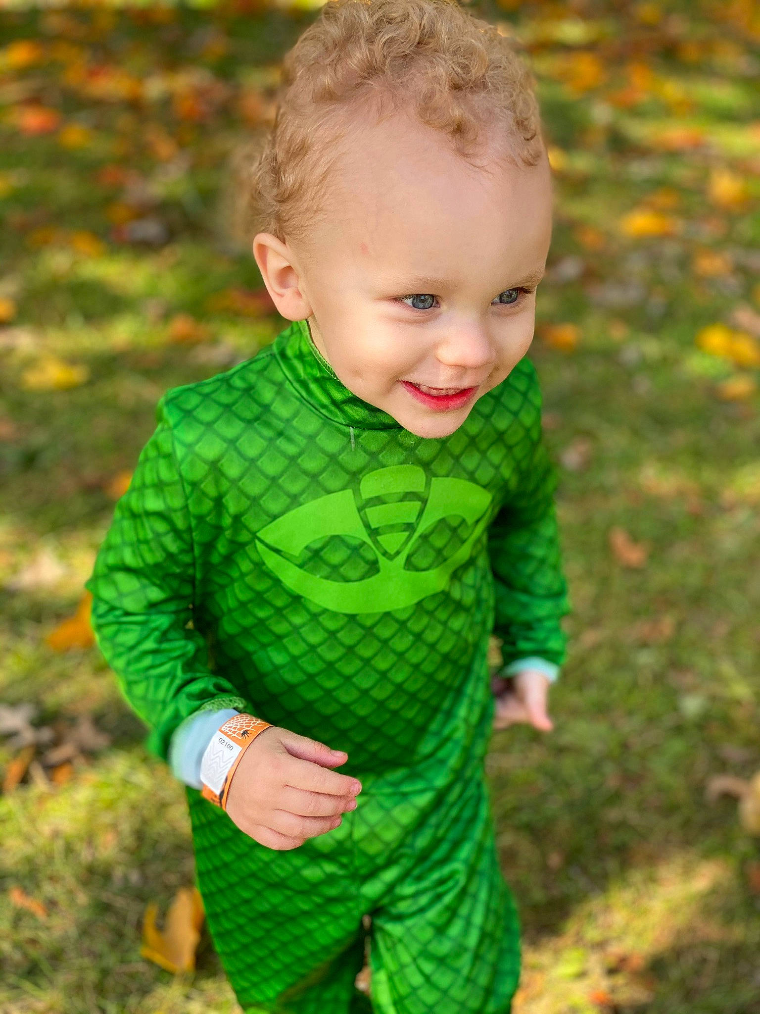 Brecken joined the competition — help win amazing prizes! baby, baby_toddler_clothing, child, grass, green, joy, leaf, outerwear, pattern, people_in_nature, person, plant, sleeve, standing, sweater, toddler