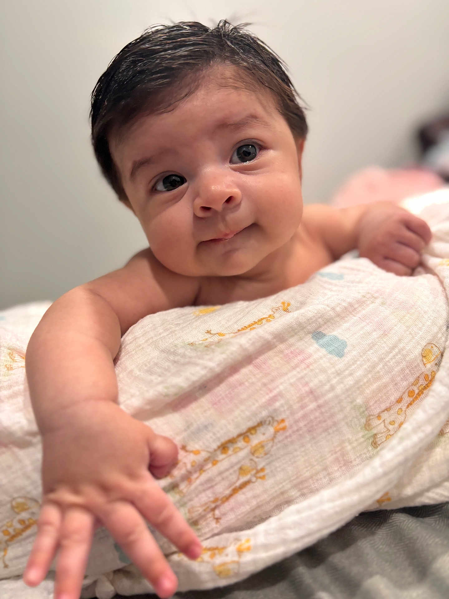 Luna joined the competition — help win amazing prizes! baby, infant, face, hand, blanket, giraffe_pattern, curly_hair, skin, expression, portrait, indoors, closeup, cute, child, person, baby_skin, reaching_hand, soft_texture, young_child, warm_light