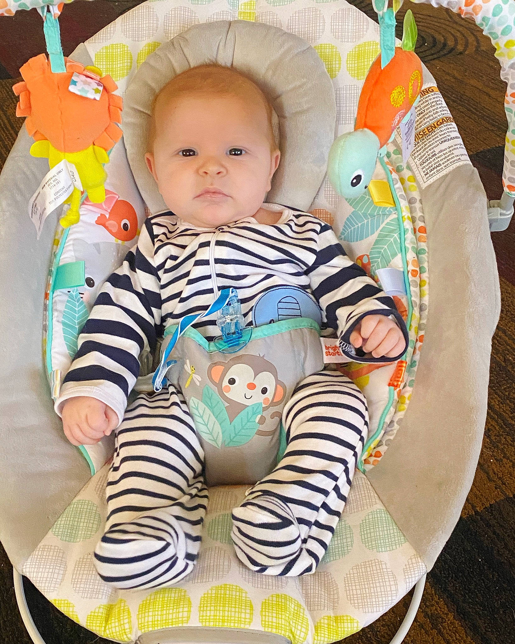 Noah is registered to the contest to win money with this photo: arm, baby, baby_carriage, baby_playing_with_toys, baby_products, baby_toddler_clothing, chair, cheek, child, comfort, head, iris, linens, mouth, person, product, skin, sleeve, stuffed_toy, t_shirt