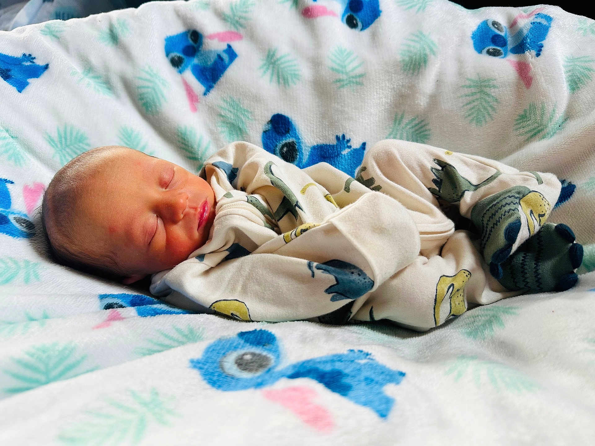 Pharaoh is registered to the contest to win money with this photo: newborn, baby, sleeping, blanket, pajamas, dinosaur_pattern, infant, cozy, soft_texture, child, cute, peaceful, resting, indoor, closeup, portrait, toddler, comfort, colorful, fabric