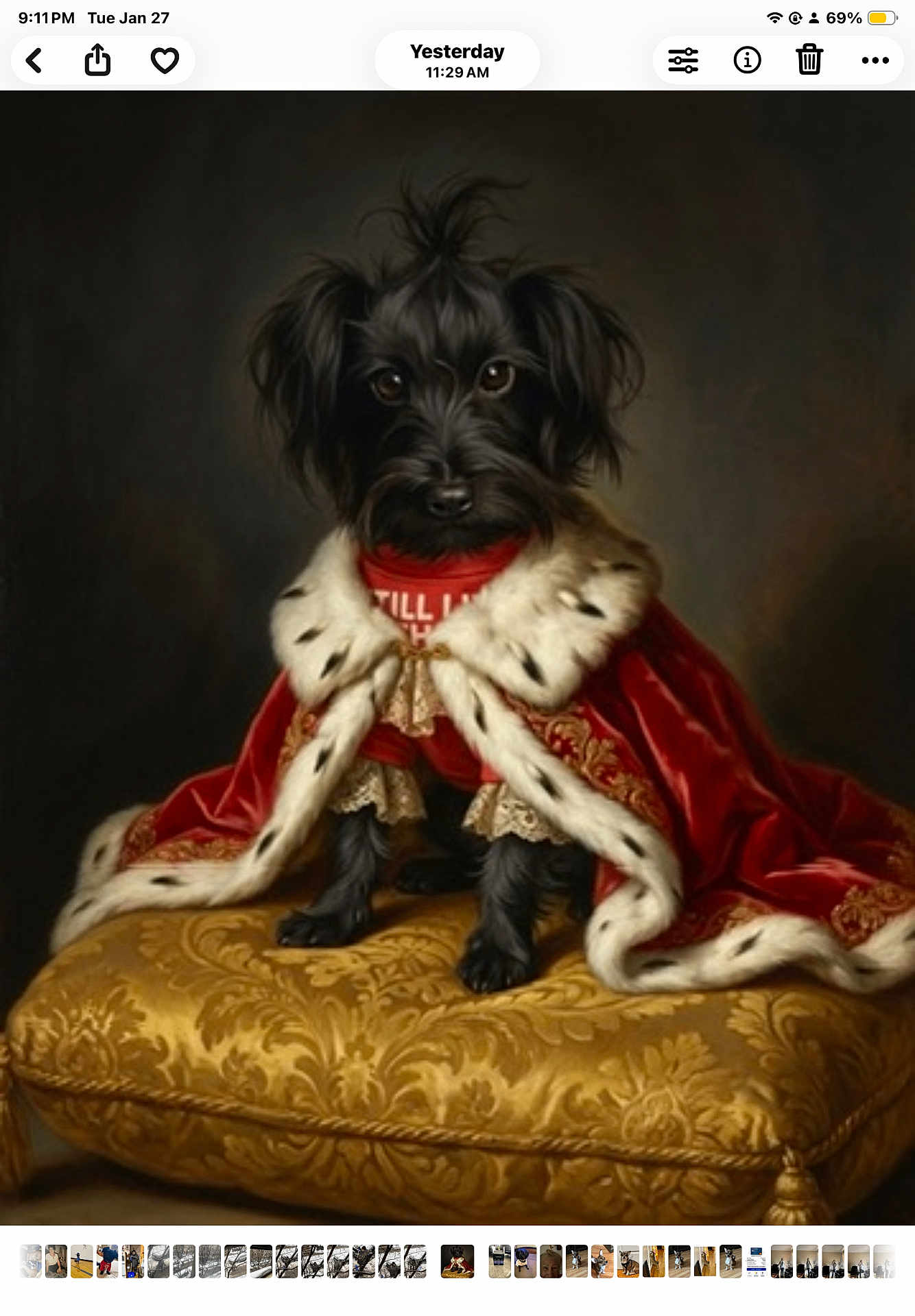 Pedra Morcilio is registered to the contest to win money with this photo: black_dog, costume, cute, decor, dog, fancy, fur, fur_trim, golden_cushion, indoor, luxury, ornate, pet, portrait, red_cape, regal, royal_cape, sitting, small_dog, velvet