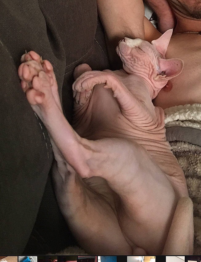 Symeria joined the competition — help win amazing prizes! barefoot, comfort, dress, finger, foot, gesture, hand, joint, knee, muscle, nail, neck, photograph, pink, skin, thigh, thumb, toe, wrinkle, wrist