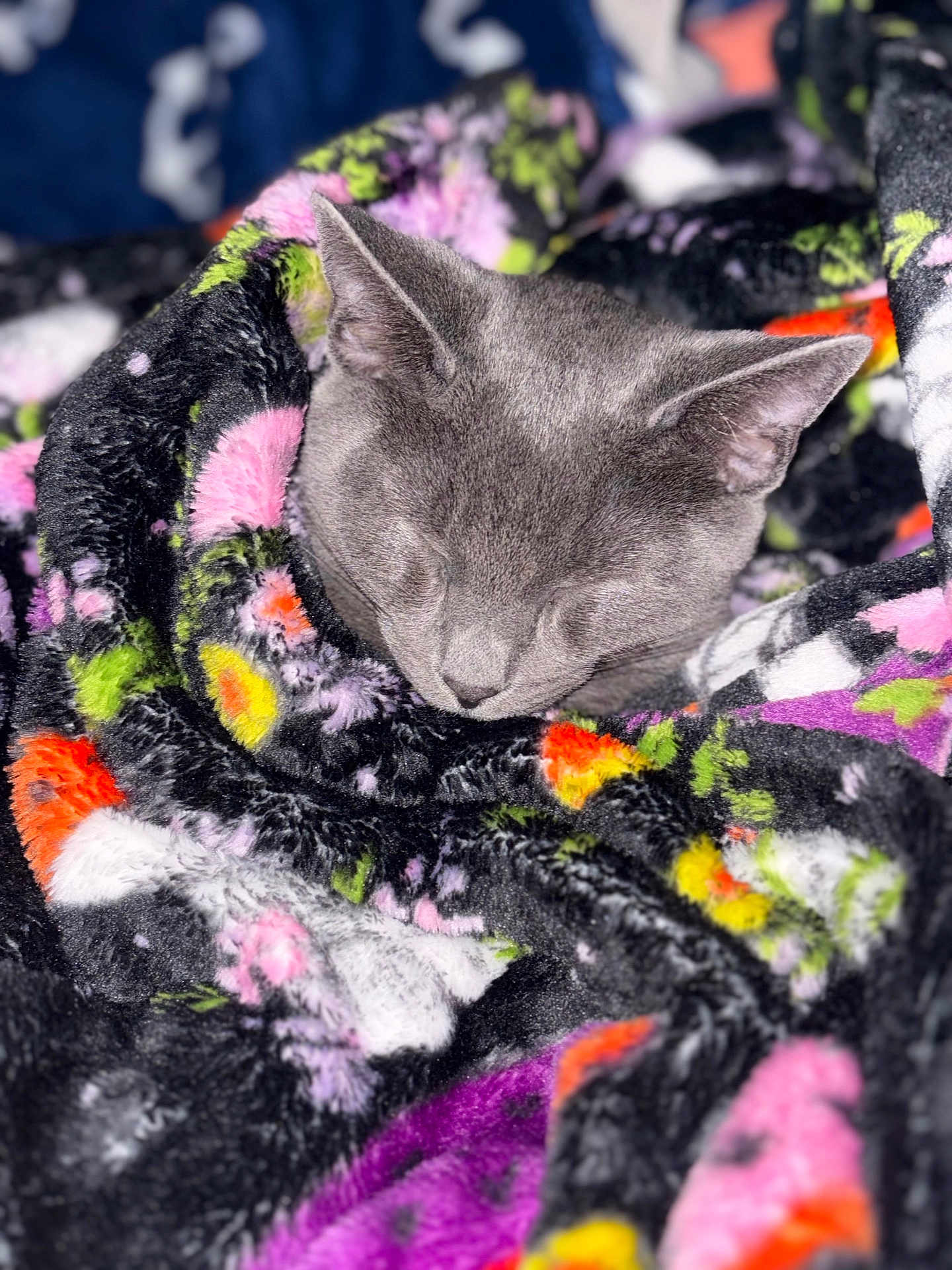 Salem