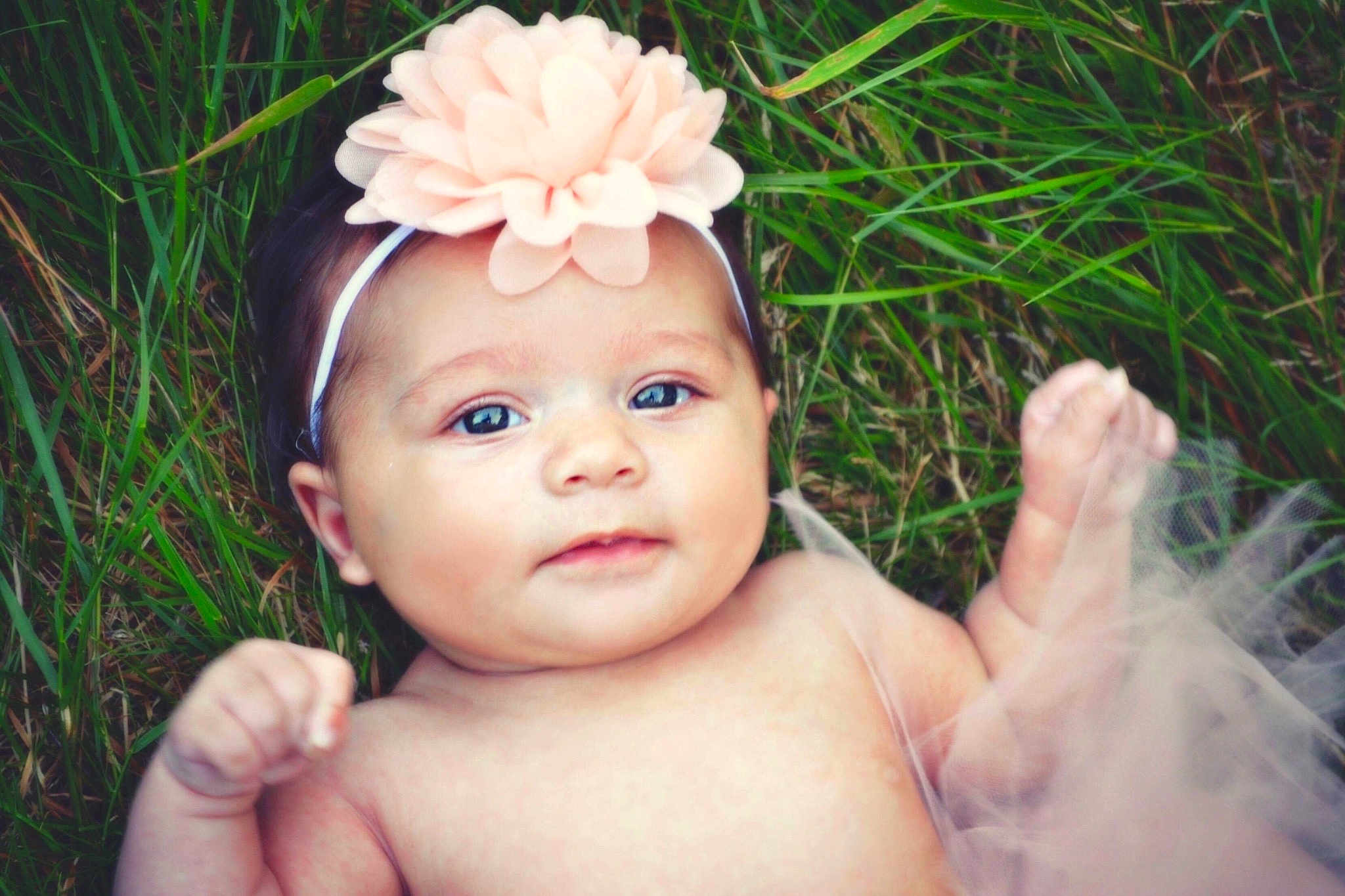 Aleeyah joined the competition — help win amazing prizes! cheek, child, flower, girl, grass, hair_accessory, happiness, headband, headgear, headpiece, infant, iris, person, portrait_photography, smile, toddler