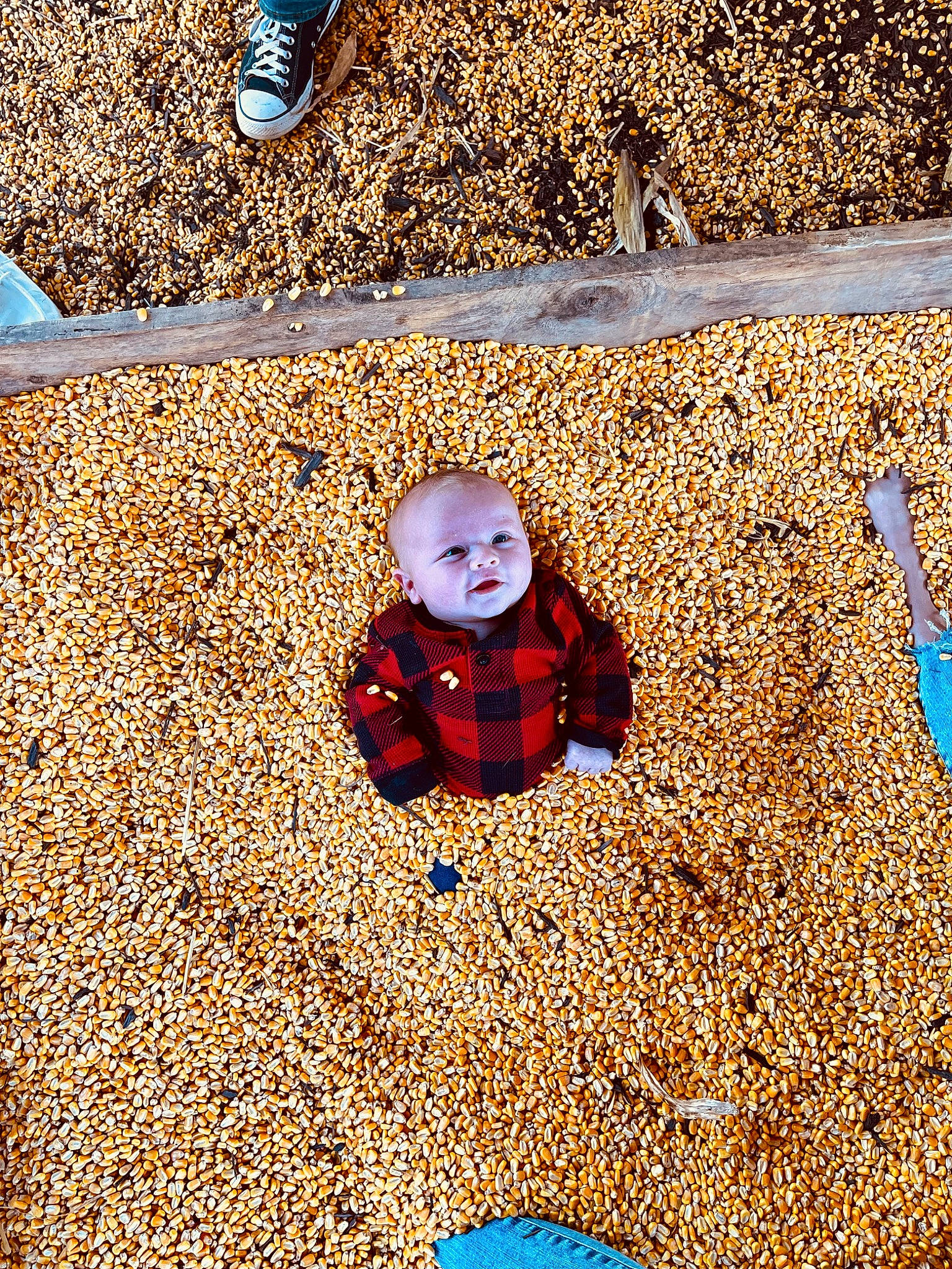 Collin is registered to the contest to win money with this photo: autumn, baby, baby_toddler_clothing, blue, deciduous, electric_blue, flooring, fun, grass, happy, landscape, leaf, pattern, people_in_nature, person, sand, shadow, smile, soil, tints_and_shades