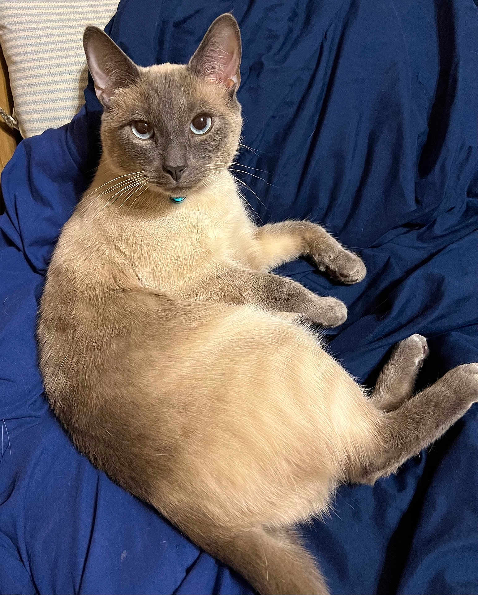 Sebastian