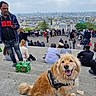 dog, golden_retriever, steps, people, cityscape, outdoor, cloudy_sky, backpack, beer_pack, sitting, standing, casual_clothing, smiling_dog, urban, crowd, leash, happy, daytime, tourist, harness