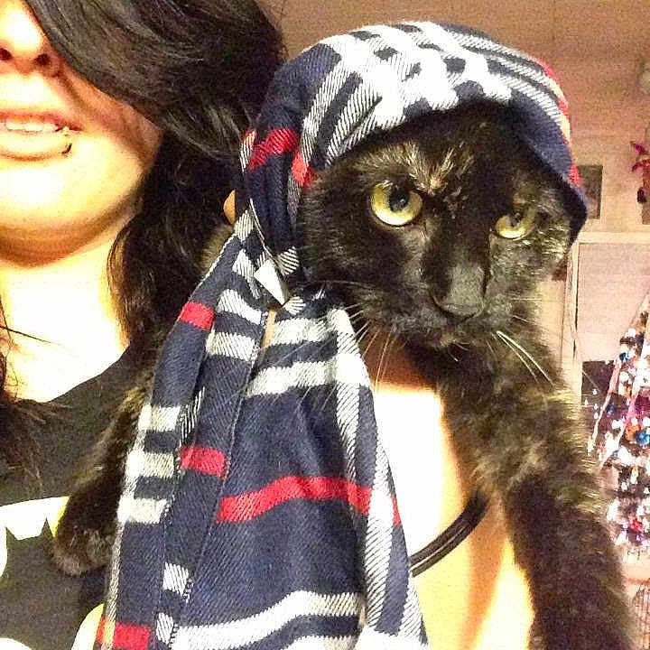 Zara joined the competition — help win amazing prizes!