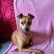 Nala a rejoint le concours — aidez-le/la à gagner de superbes lots !