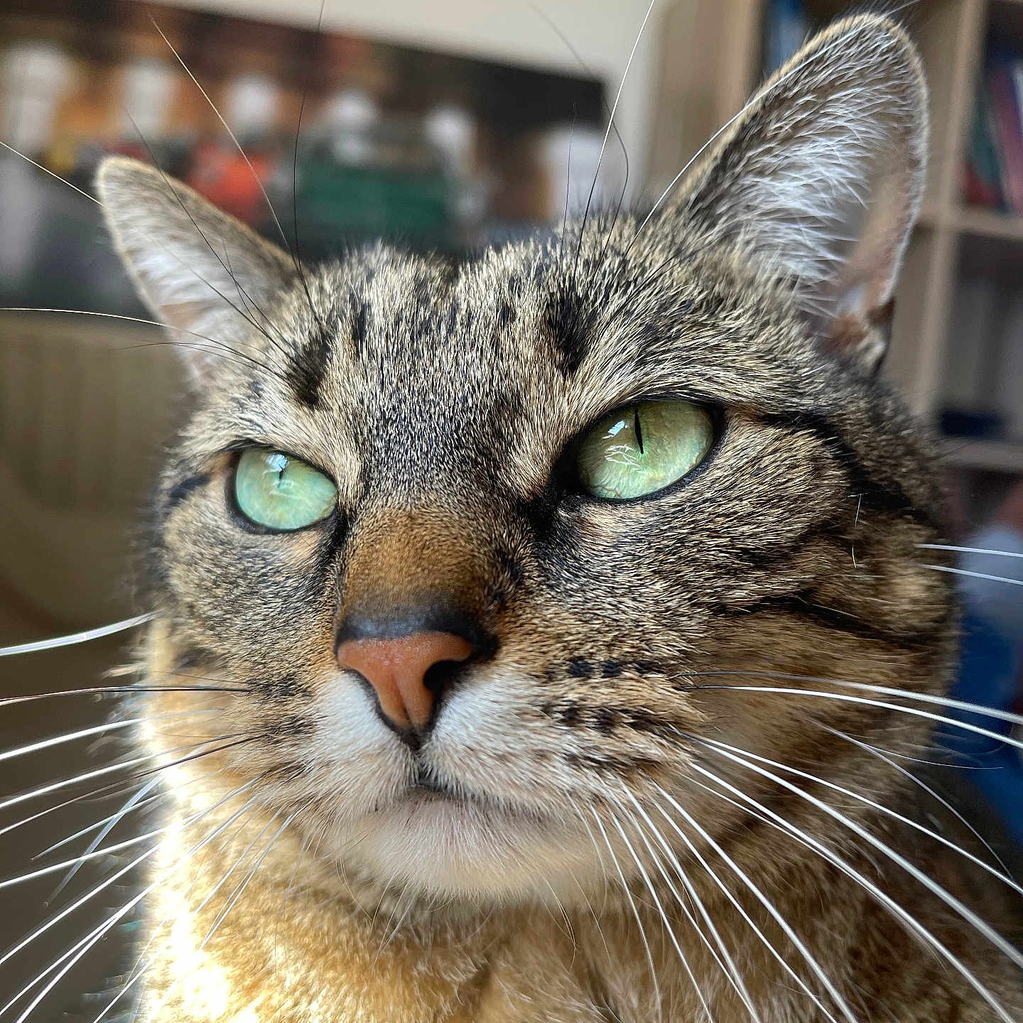 Pepper